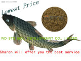 Fish Meal with High Protein for Animal Feed