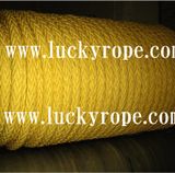 Mooring and Towing Rope 12*1 8*1 (PA/PET/PP/PET Mix PP/ UHMWPE)