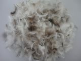 2--4cm/4-6cm Washed Grey Duck Feather