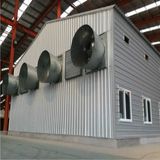 Poultry Farming Equipment for Turnkey Poultry House