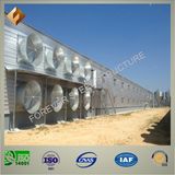 Modern Designed High Quality Poultry Farm