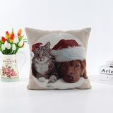 Yarn-Dyed Dog Pillow (LPL-662)