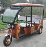 Electric Tricycle/Electric Rickshaw/Three Wheelers for Passengers D99s Yudi