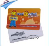 Plastic ID Card with Em4100 Chip, 125kHz RFID Smart Cards