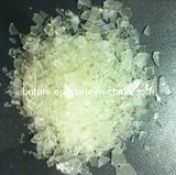 Solid Polyester Resin