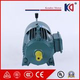 Iron Three Phase AC Electrical Asynchronous Motor