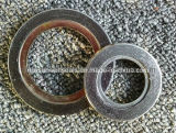 IR Spiral Wound Gaskets with Inner Ring (SUNWELL)