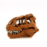 1: 1 High Copy Resin Material Tyrannosaurus Rex Skulls