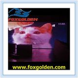 HD P3 Indoor LED Display Full Color LED Display