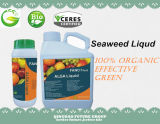 100% Organic Fertilizer Seaweed Extract, Seaweed Liquid Fertilizer