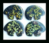 Turquoise Cabochon, Semiprecious Stone Cabochon Set - 45X35 Mm
