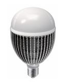 15W High Power LED Bulb Light
