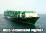 Cheapest Shipping Cargo From China to Mersin/Turkey