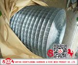 Galvanized Welded Wire Mesh