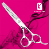Hair Cutting Scissors for Salon Professional Sk09tra
