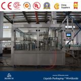 Carbonated Beverage Filling Machine (DCGF)