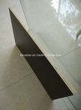 12mm Poplar Core Film Faced Plywood