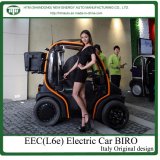 4kw Electric Motor Car
