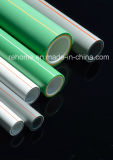 China Factory PPR Pipe for Drinking Water Supply