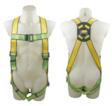 Safety Harness - 1 D Ring, Model# DHQS040