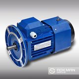 Hot Selling AC Motor with Brake