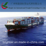 Experienced Sea Shipping Guangzhou to Constanta Romania