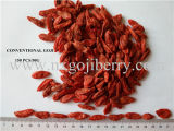 Dried Goji Berry Fruit Supplier