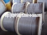 PVC Coated Steel Wire Rope