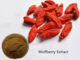Natural Herbal Wolfberry Extract Powder
