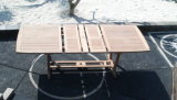 Outdoor Furniture-Picnic Table (BT-F009)