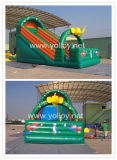 Inflatable Slide for Family Party Event