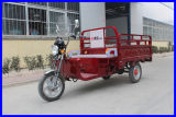 Romai 1000W Truck Cargo Tricycle with 24tubes (LM-S069)