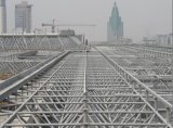 Steel Space Frame Roof Structure