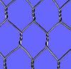 Hexagonal Wire Mesh