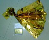 Silver Blanket