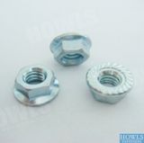 Carbon Steel Flange Nut (DIN6923)