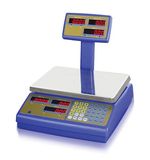 Electronic Pricing Scale (HS ACS-L6)