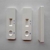 CE Approved Thyroid Stimulating Hormone Test Cassette Serum/Plasma Test