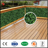 Home Decoration Artificial Plastic Boxwood Pick Panels for Garden