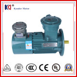 Frequency Conversion Explosion Proof Electric Motor