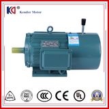 Yej Series Electric Brake AC Motor