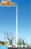 Conventional 30m Steel Tower for Telecommunications