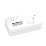 Co Alarm Comforms to En50291 (PW-915)