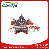 Custom Die Stamped Brass Synthetic Enamel Metal Lapel Pin Badge