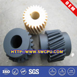 China OEM Plastic Tooth Helical Gear