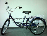 Popular Tricycle for Europe Market (SH-T001)