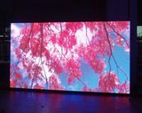 CE Certificate LED Display/Full Color Outdoor LED Display