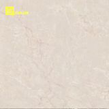 Tiles Floor Ceramic Porcelain 60 X 60cm