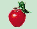 Simulation Fruit