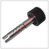 Set Screw Shaft Gear Assembly